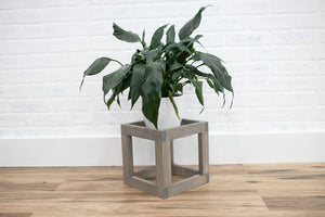 Cube Plant Stand