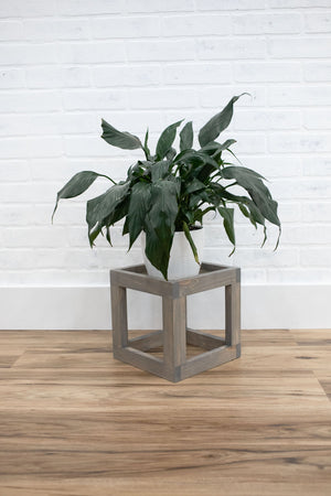 Cube Plant Stand