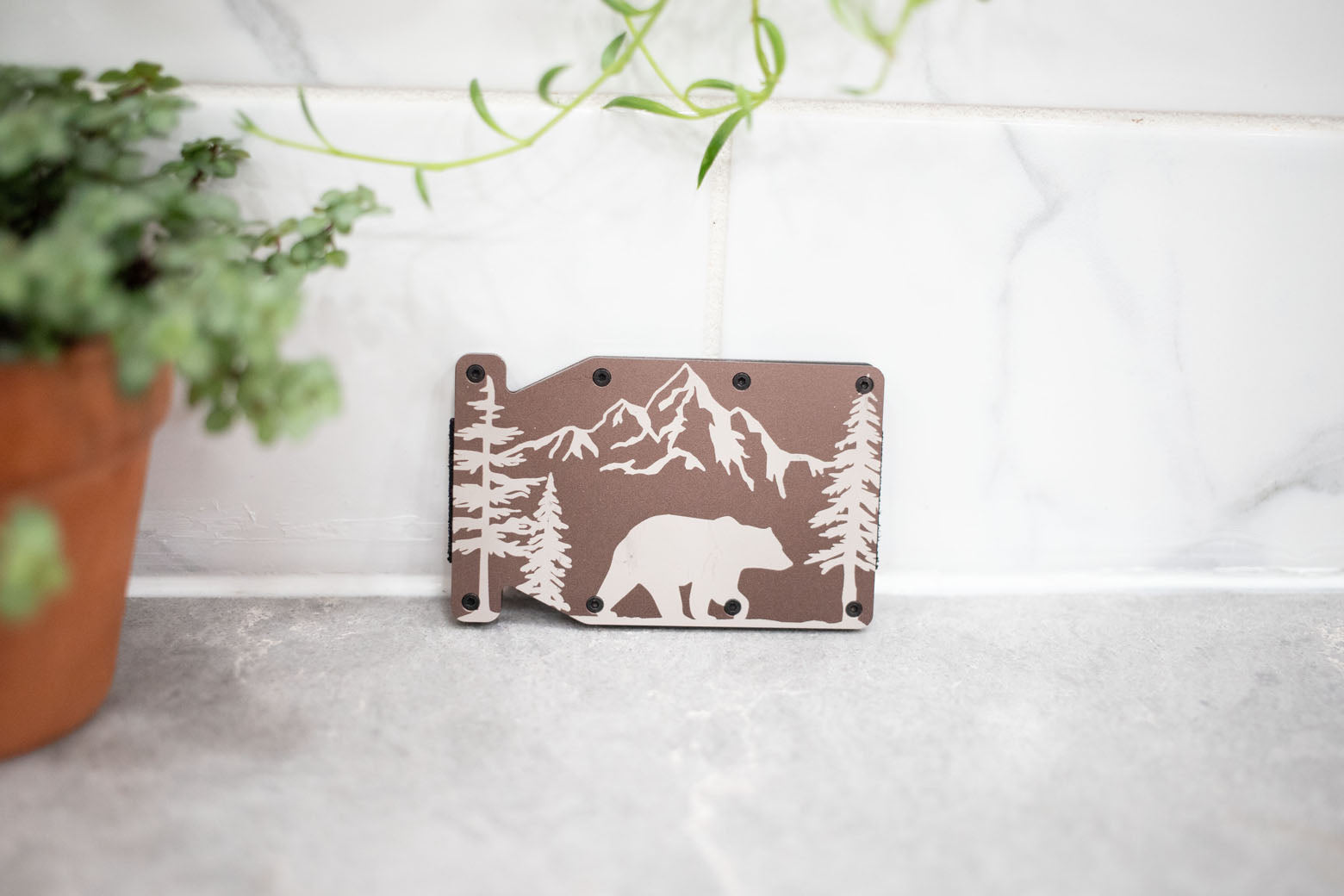Metal Wallet