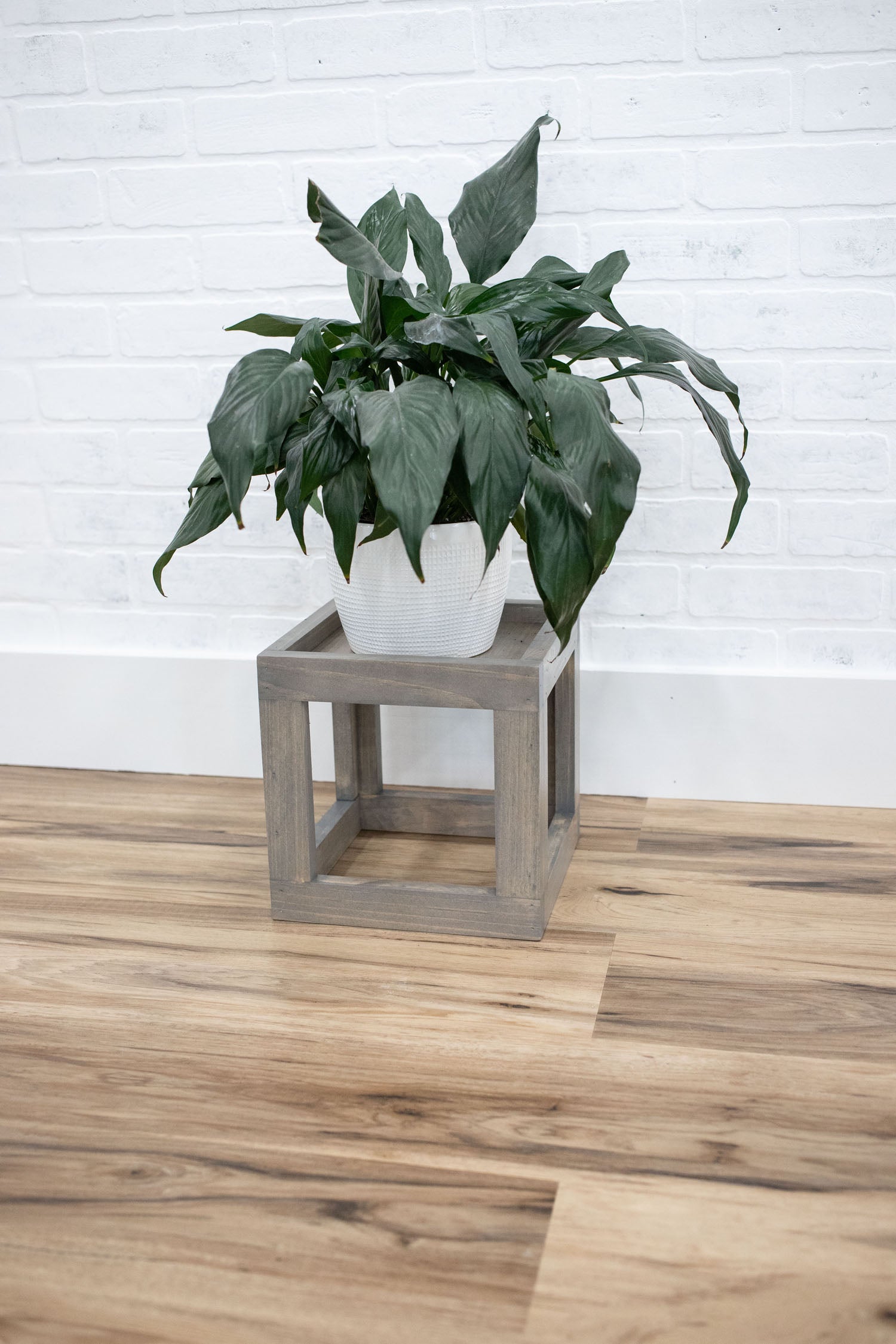 Cube Plant Stand