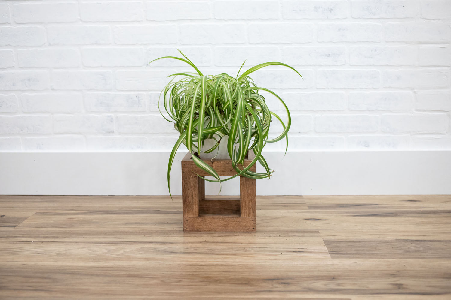 short plant stands indoor Square Plant Stand Small / Special Walnut