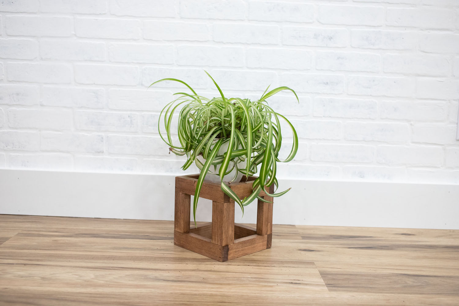 square plant stand indoor Square Plant Stand Small / Special Walnut