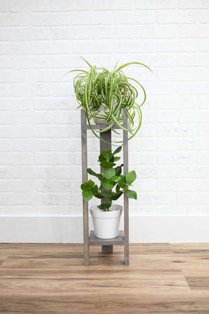 Two Tier Plant Stand