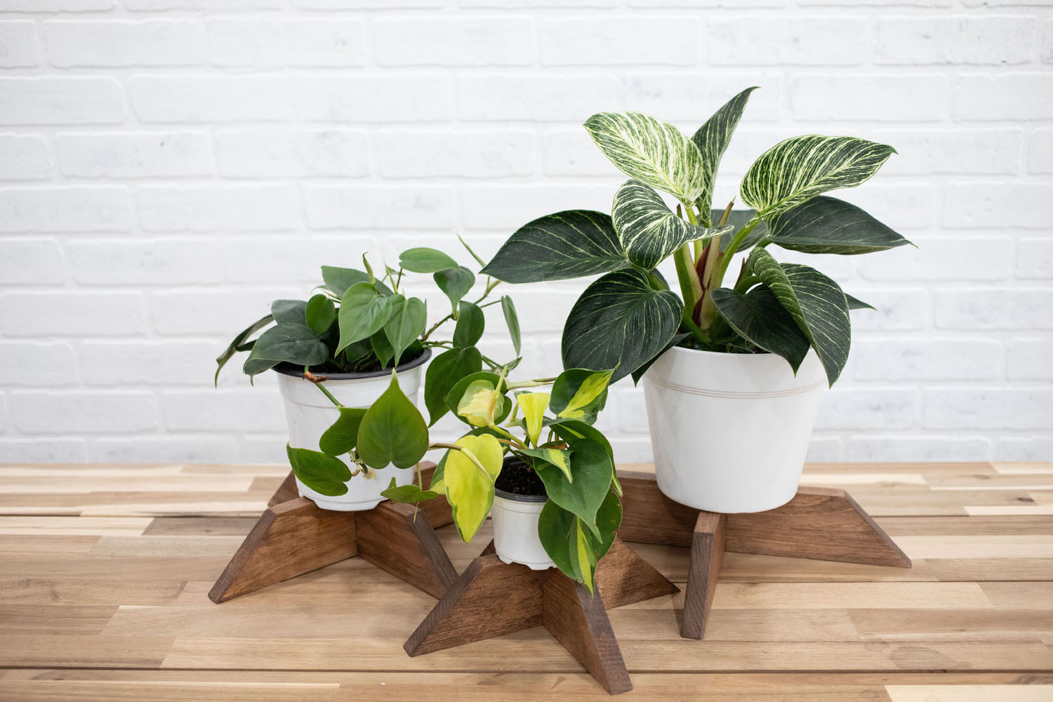 Set of 3 Elevated Wood Plant Stands