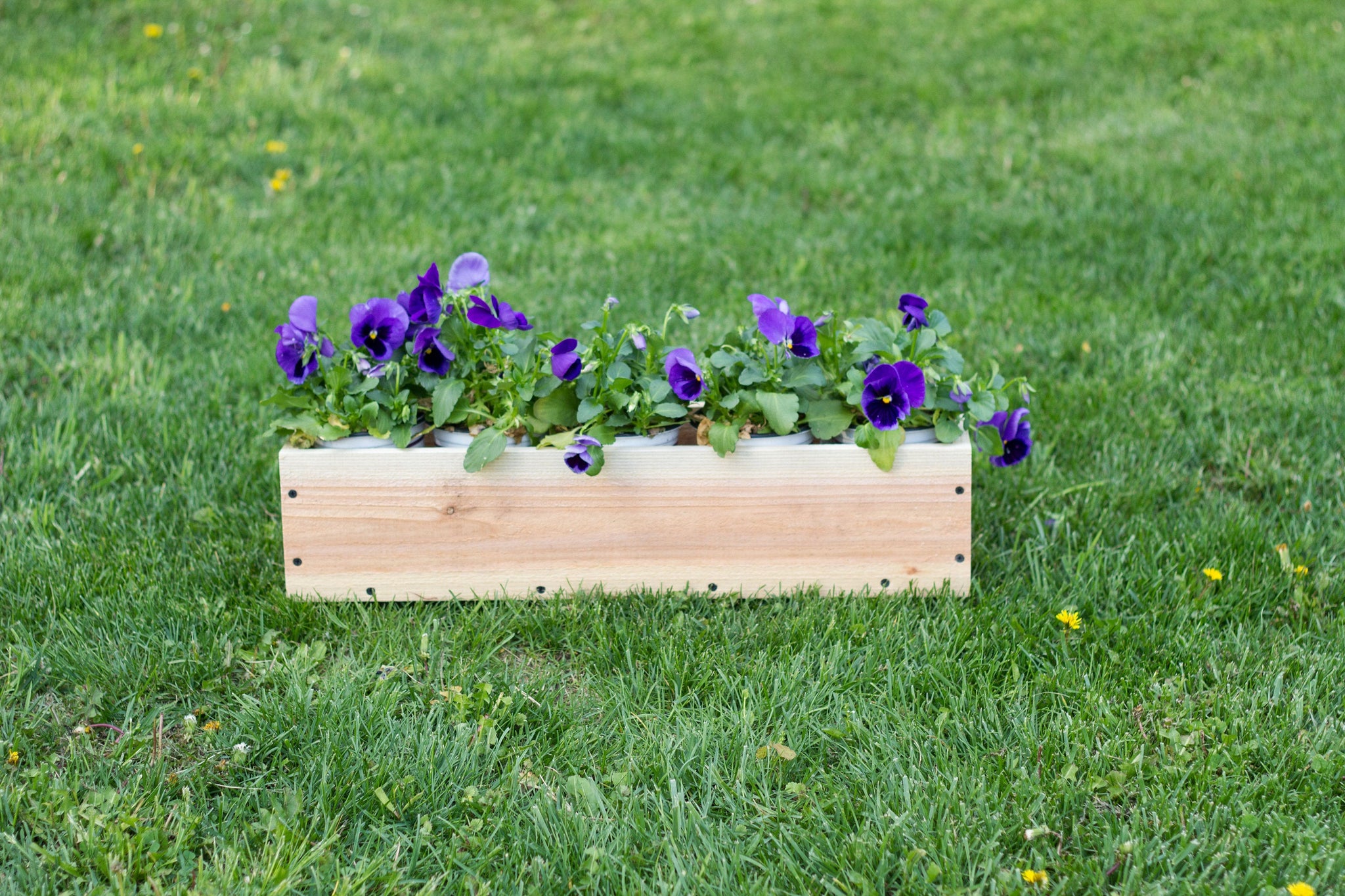 wood window boxes planters Cedar Window Box Planter