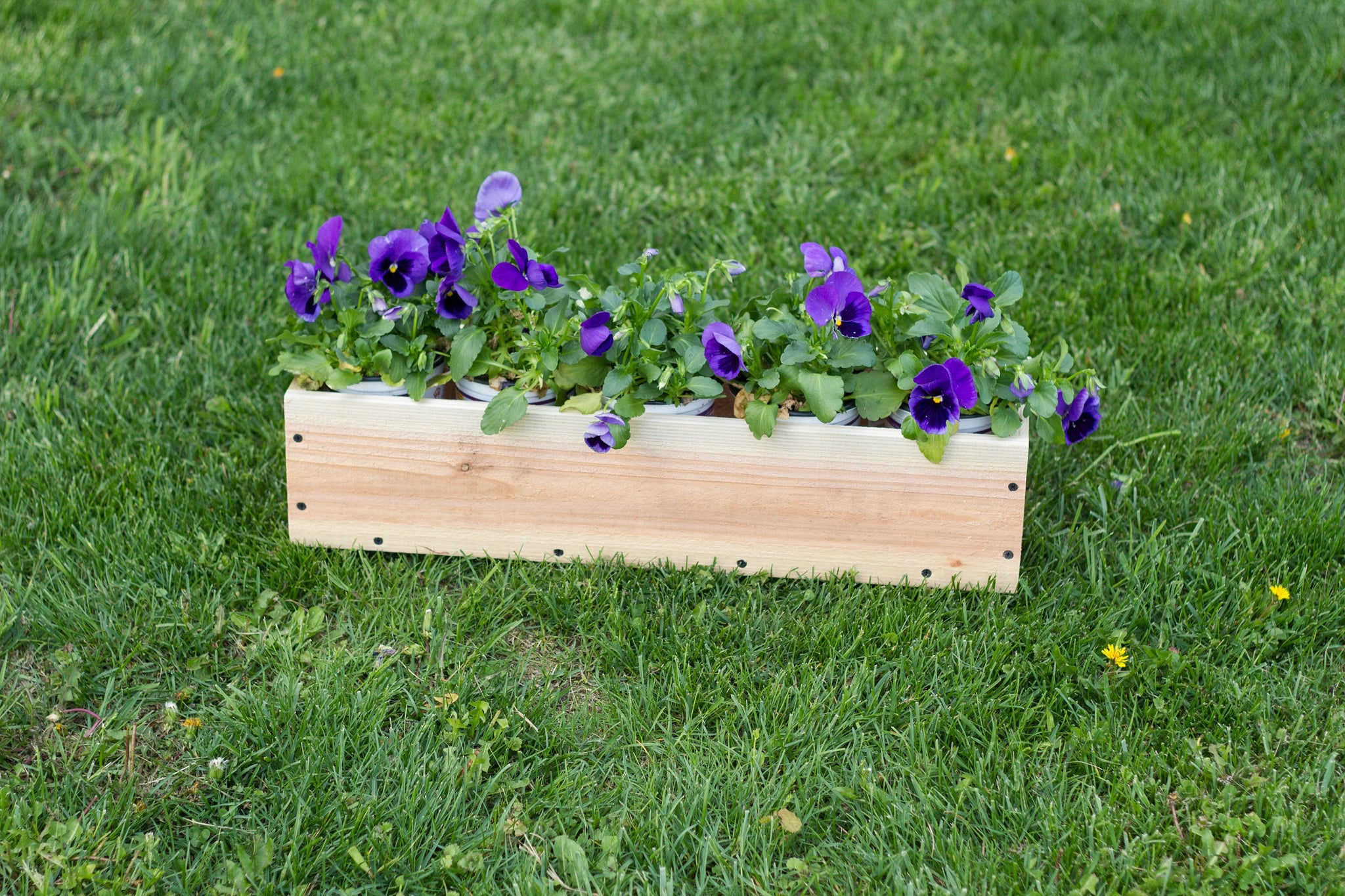 wooden window box planters Cedar Window Box Planter Unstained Cedar / 24